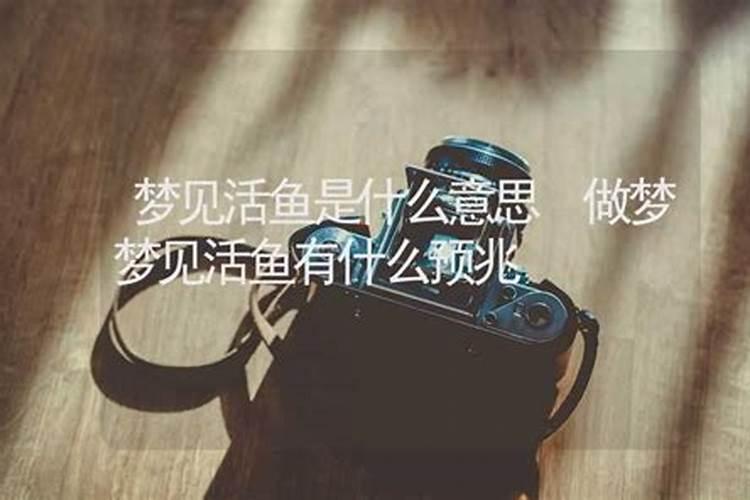 梦见搁浅的鱼是什么意思