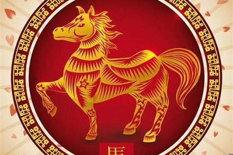 属马的在什么年运气好