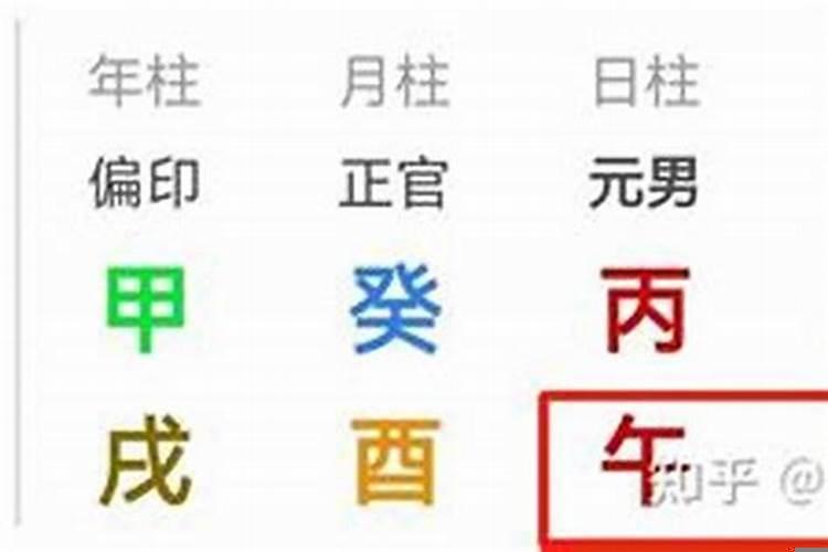 乌龟指什么生肖数字