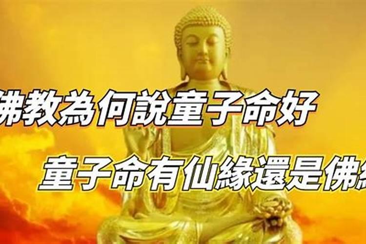 重阳节的来历字简短