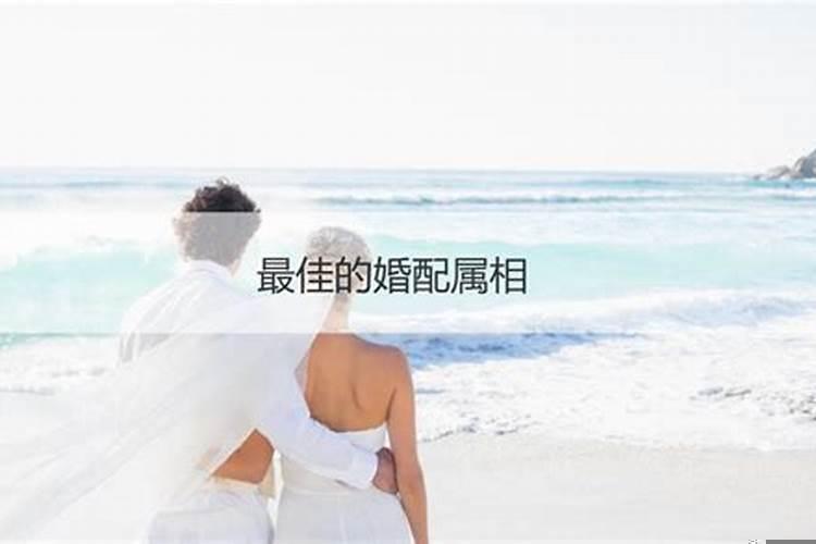 婚配不合口诀