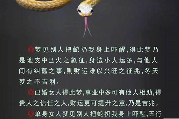 鸡狗八字合吗