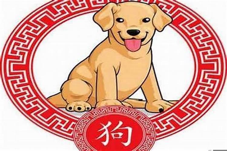 什么狗生肖