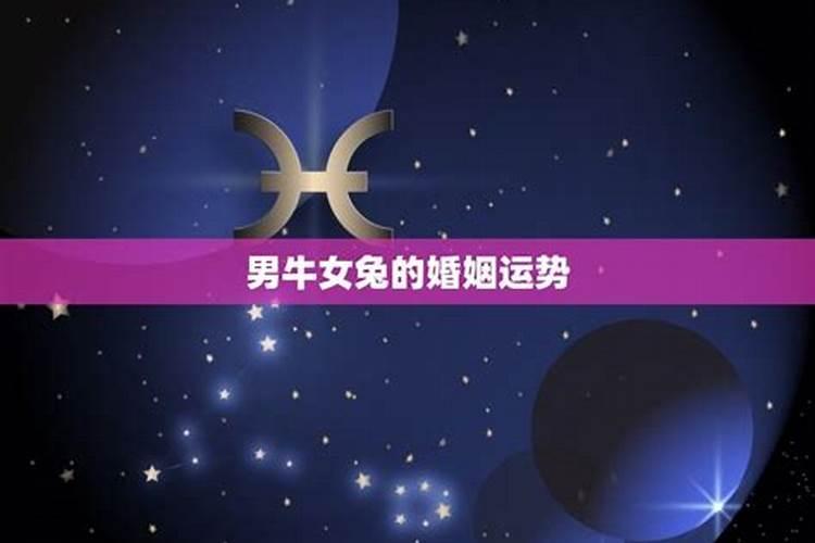 五行太旺什么意思