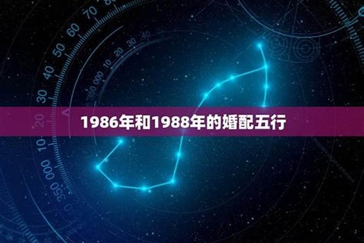 1988和1988年属相配吗