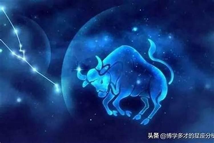 星座月份表摩羯座男生