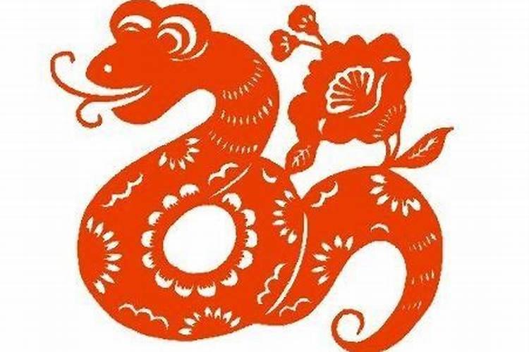 属蛇的今年多大2019