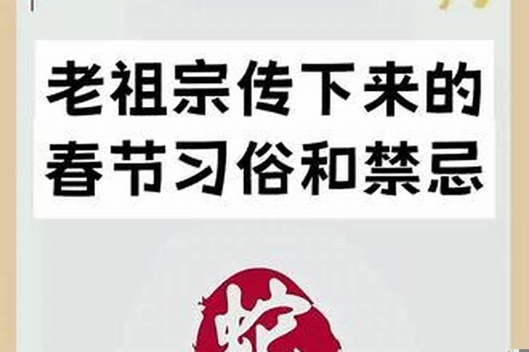 穿着鞋是什么生肖