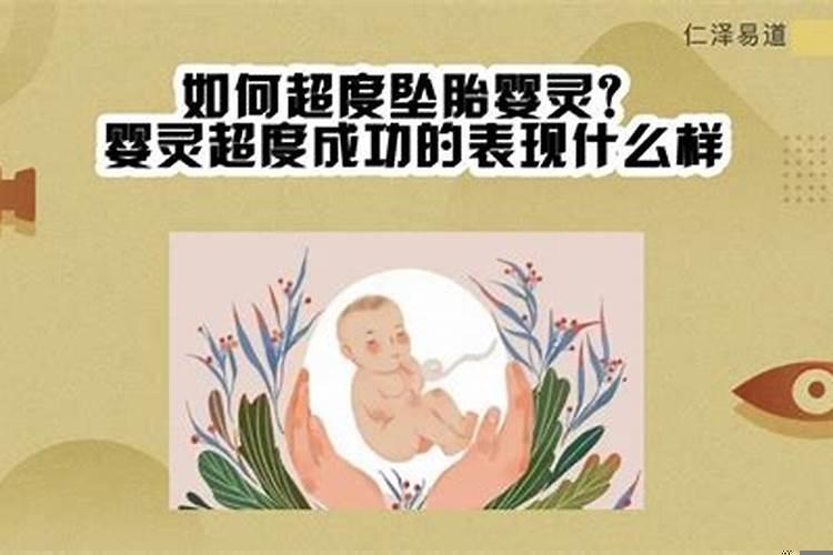 梦到蝎子意味着什么