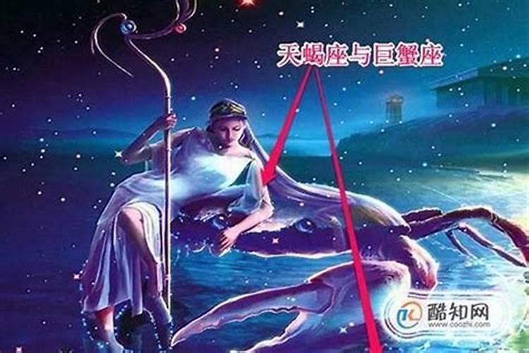 天蝎座男生适合什么星座女生结婚