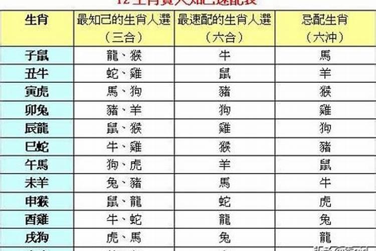 福特金牛座值得入手吗