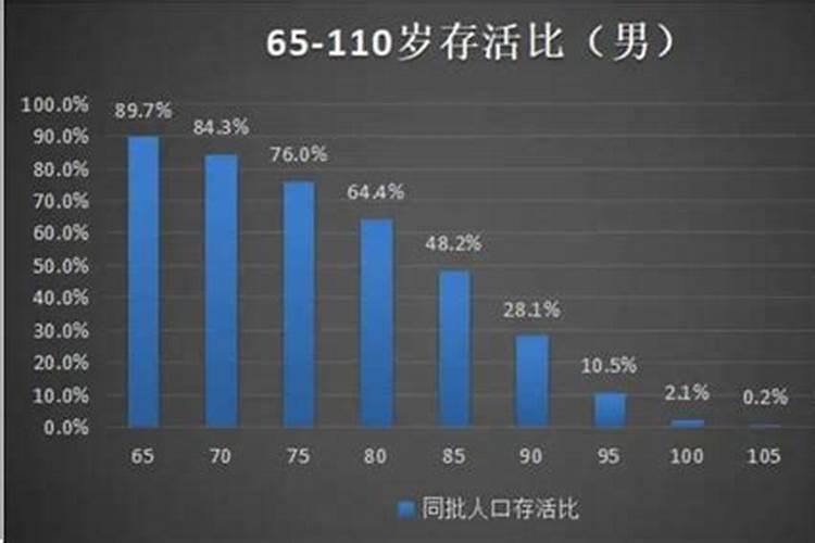 不会开车梦到自己开车