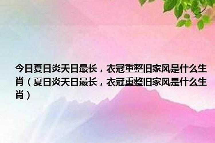 查找炎炎夏日是什么生肖