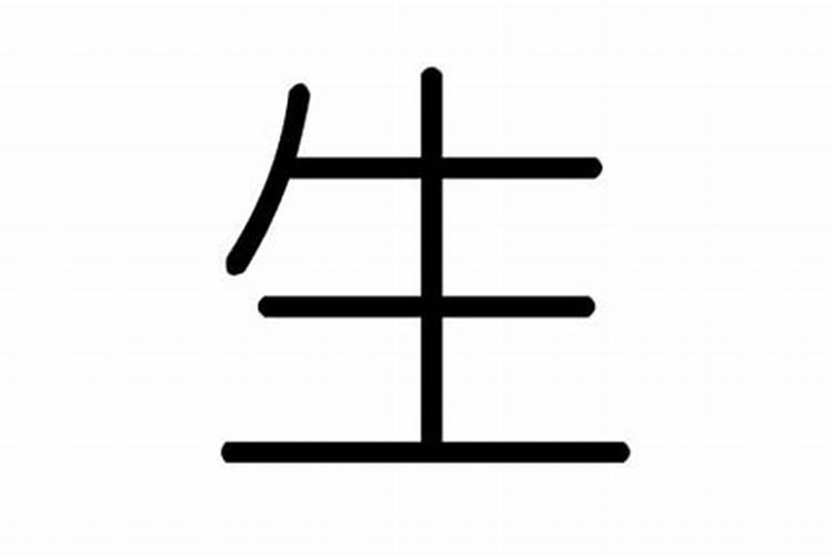 生字五行属于什么