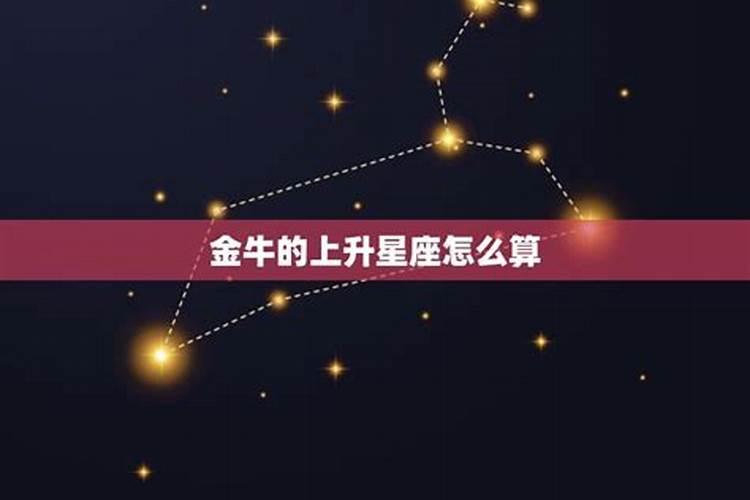 金牛上升星座是什么