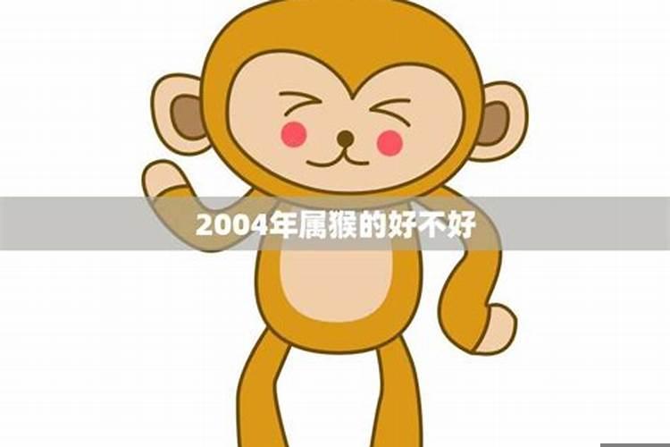 2004年属猴的好不好