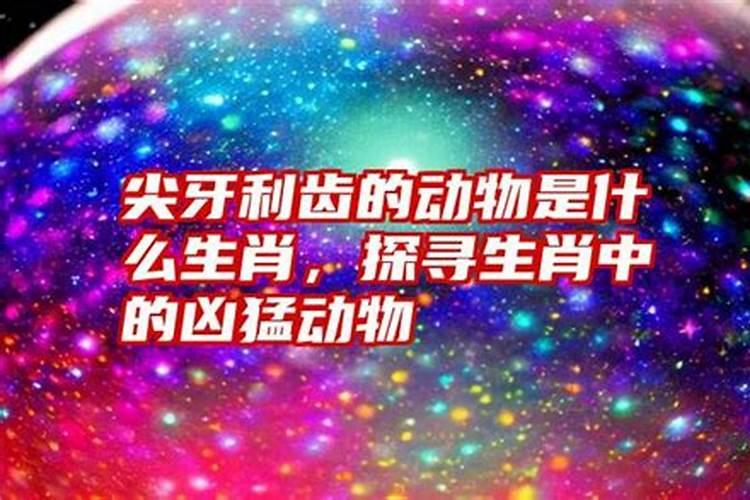 牙齿尖尖是什么生肖