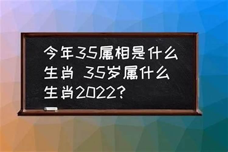 今年35岁属什么生肖属相