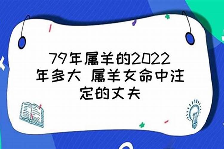 属羊女的过了43岁就顺了