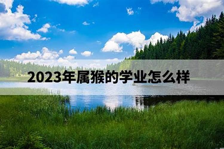 2004年属猴高考运2023年