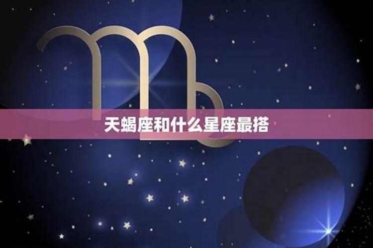 天蝎座和哪个星座可以成为夫妻呢女生