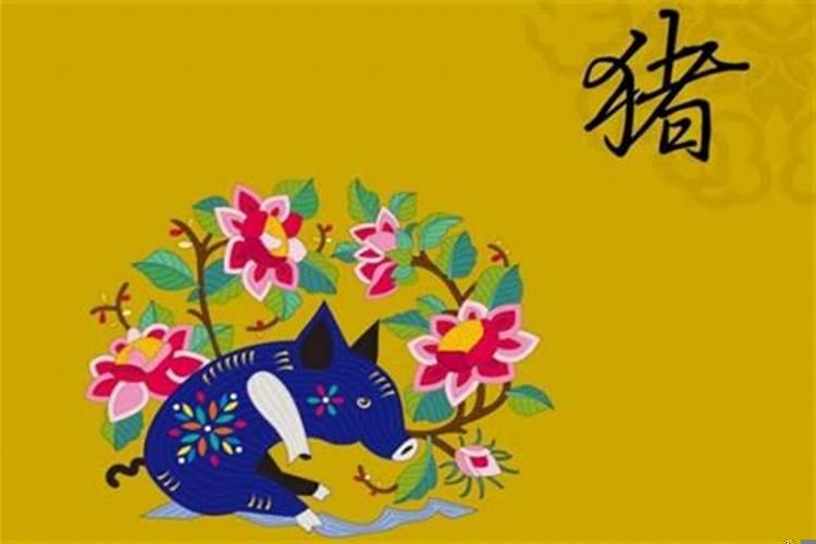 1995猪年今年运势