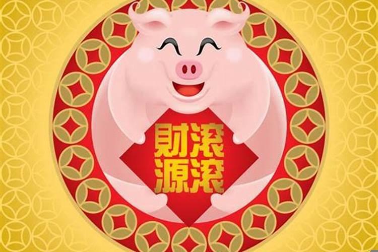 属相猪今年的运势