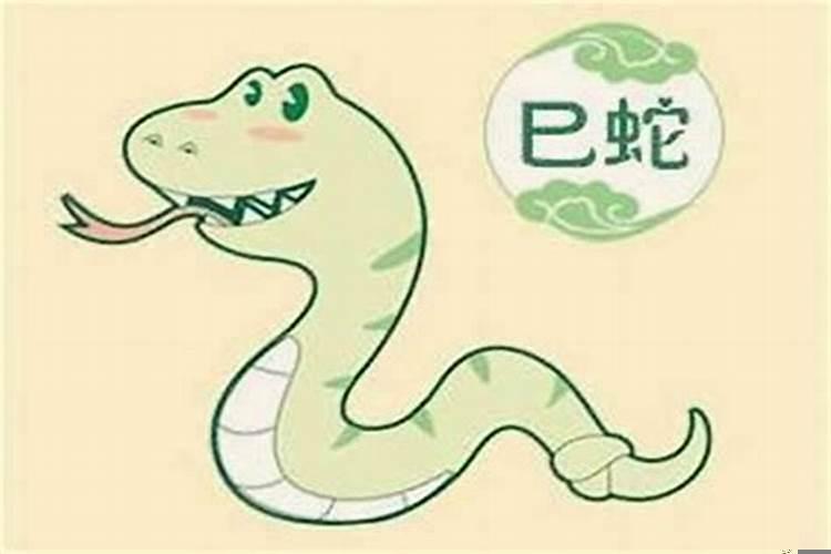 同性能否在一起看八字