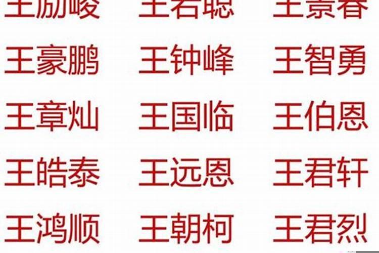 王姓男孩名字2022年属兔起名