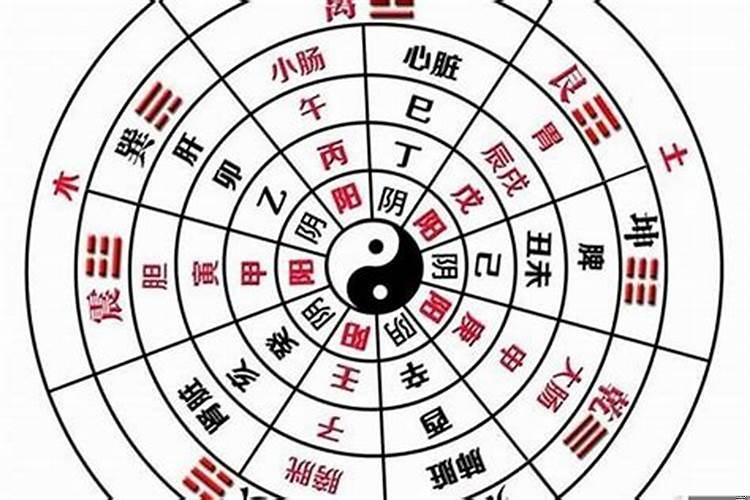 怎样看八字纯阴纯阳