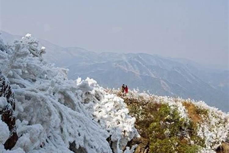 梦到在山上下雪了