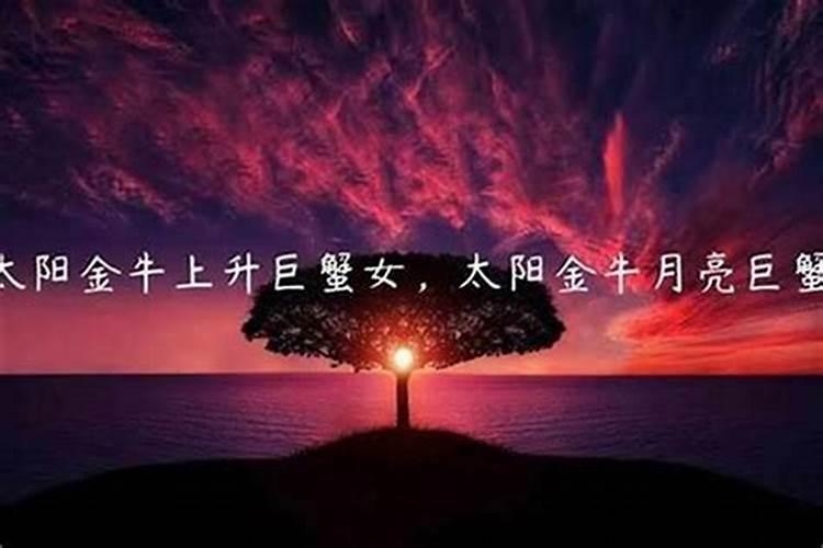 狮子座运气好