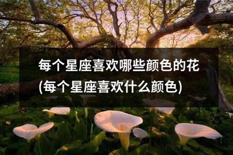 一般中秋节开什么生肖的花