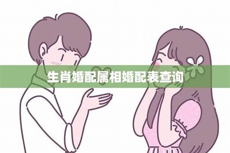 婚配属相是怎么看的