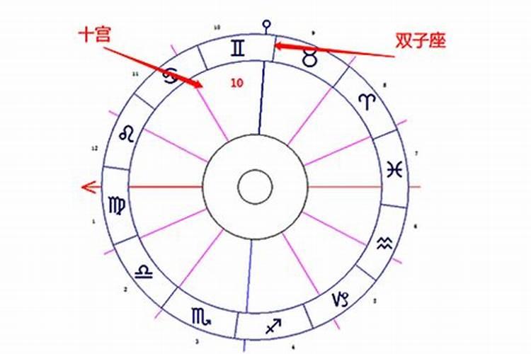 天顶星座双子座落在第10宫