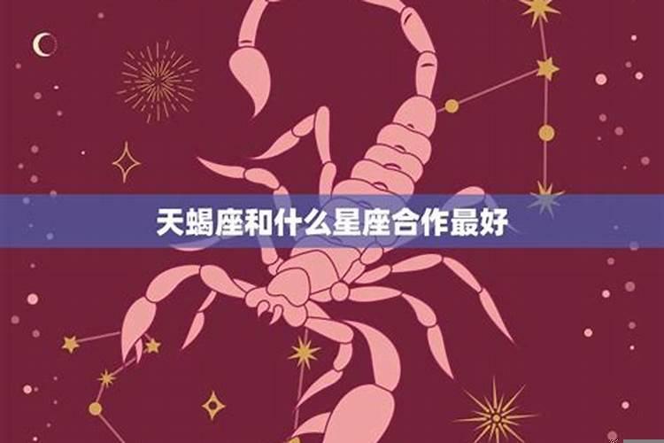 什么星座最有事业