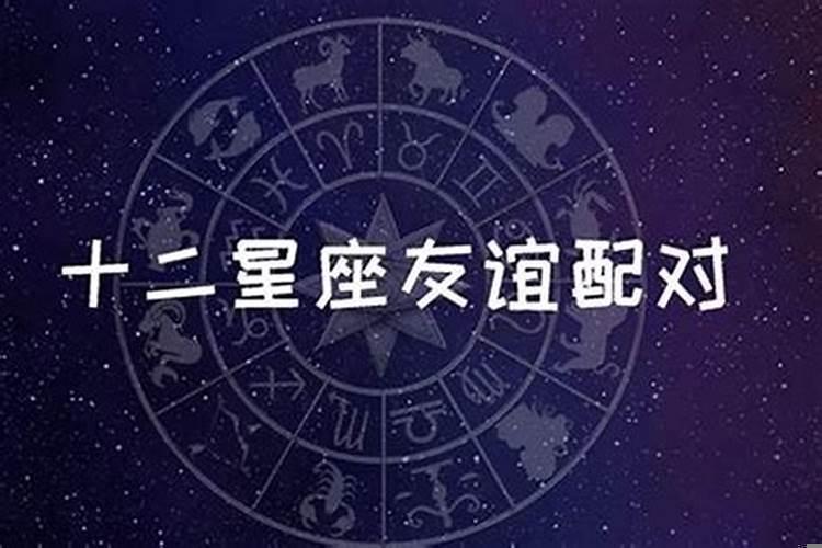 哪个星座事业最好