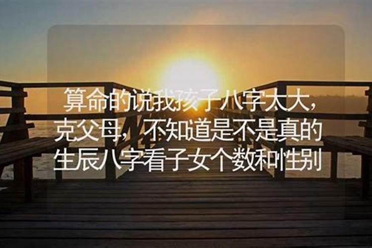 周公解梦梦见蛇是什么预兆在自己怀里