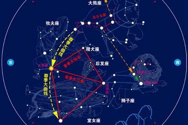 星座天上的星星的星座