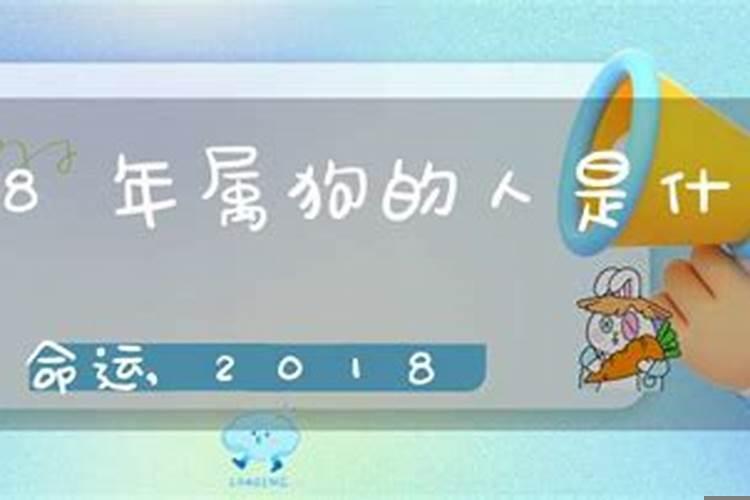 2018年属狗的什么命狗命运好呢