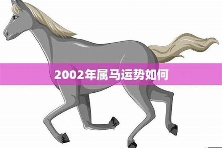 属马的今天运势和财运2002