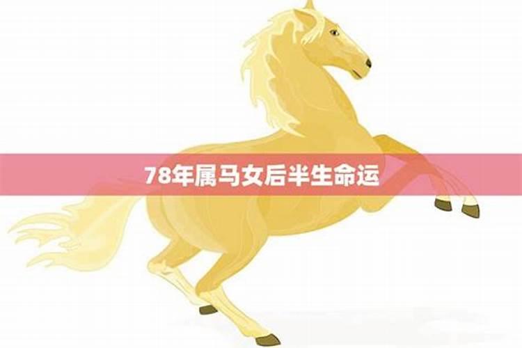 78年女马2020年命运