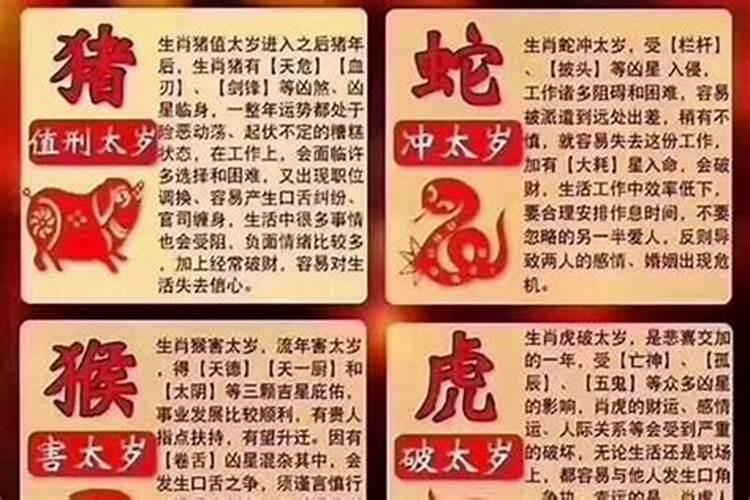 冬至风俗吃什么柳州