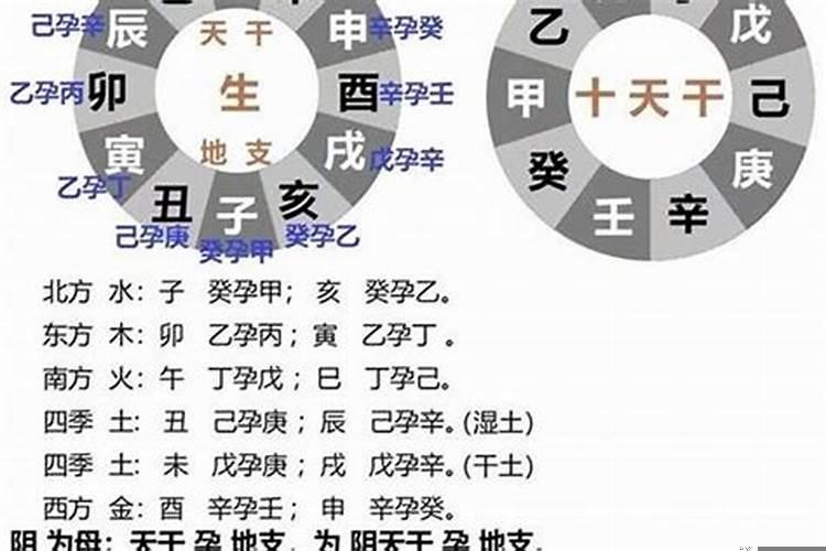 生辰八字日支和时支怎么看