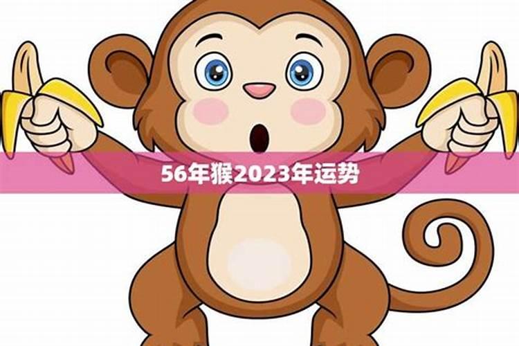 2020年56年属猴每月运势