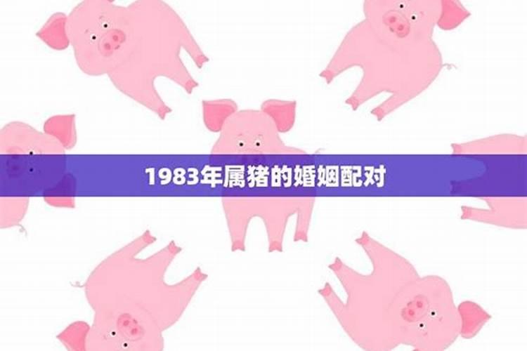 89年属蛇最佳婚配