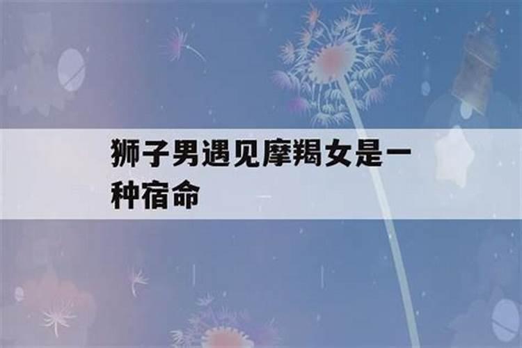 男狮子座和女摩羯座配吗