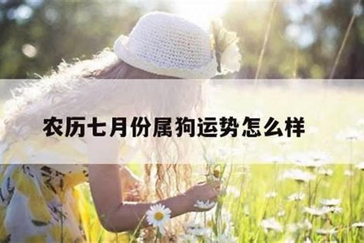 会离婚的婚姻是注定的吗