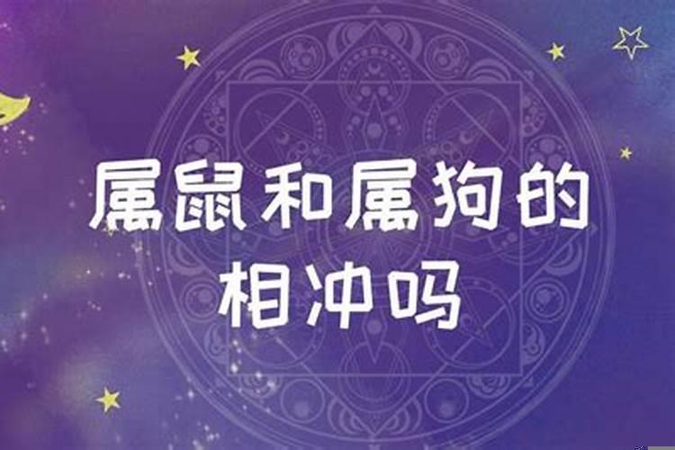 属猴女今年的运气怎样