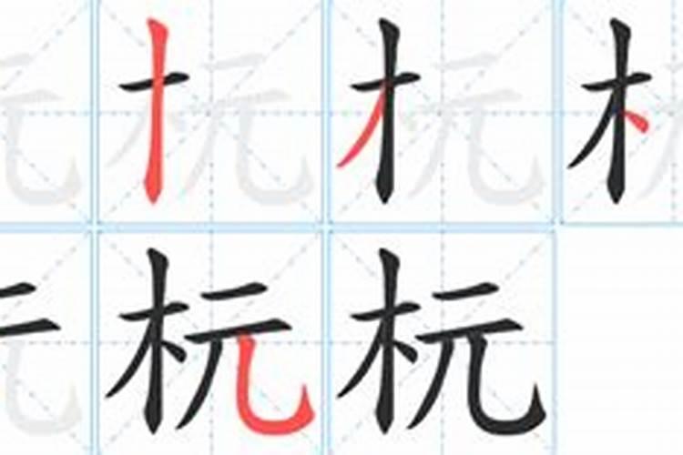 棽字五行属什么才准确